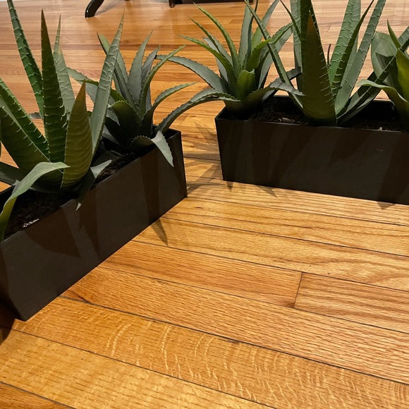 Bundle Lot Set 2 pc Artificial Framed Succulent Plant Rectangular Frame ALOE POT - Picture 4 of 5